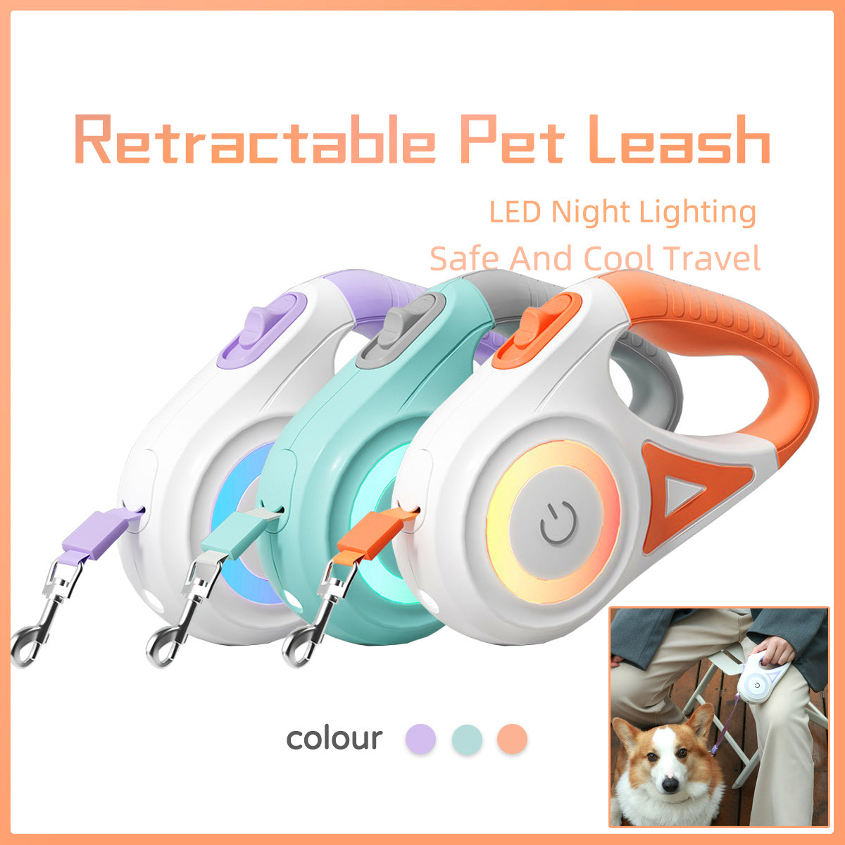 Retractable Leash